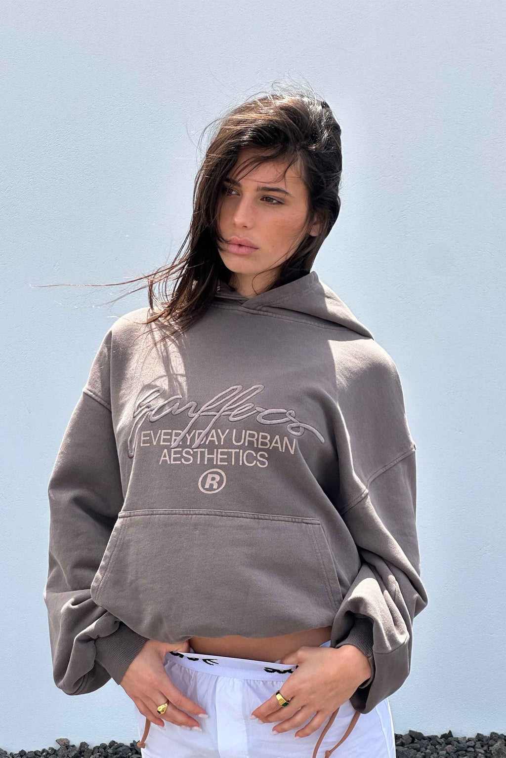 Poleron Signature Brown Hoodie