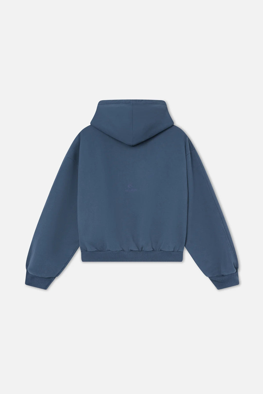 Poleron Raw Blue Hoodie
