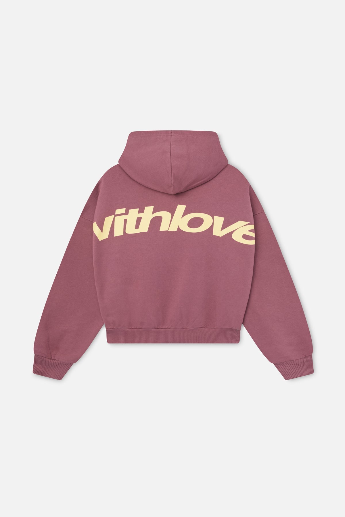 Poleron Sign Burgundy Hoodie